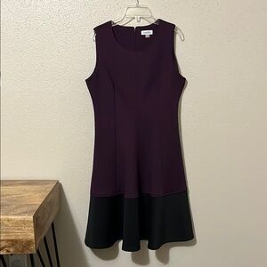 Elegant Purple and Black Sleeveless Dress